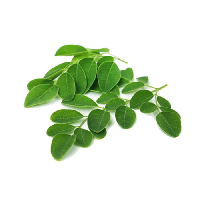 Normadex enthält Moringablätter, ein wirksames natürliches Heilmittel gegen Parasiten. 